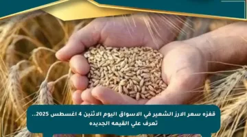 قفزة سعر الأرز الشعير في الأسواق اليوم الإثنين 4 أغسطس 2025.. تعرف على القيمة الجديدة